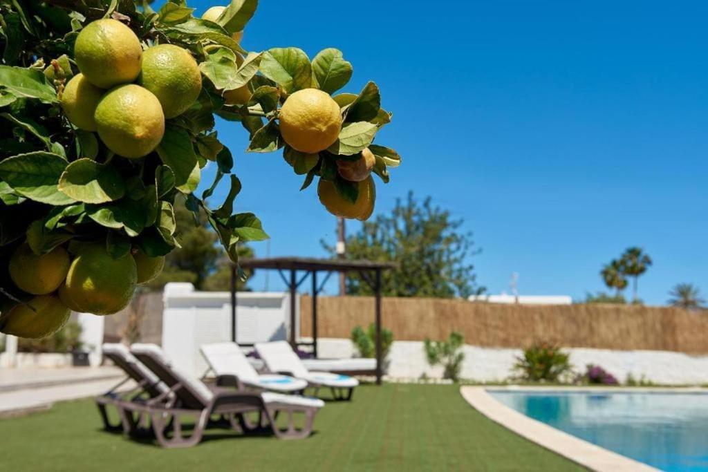 The Lovely Villa Ibiza ภายนอก รูปภาพ
